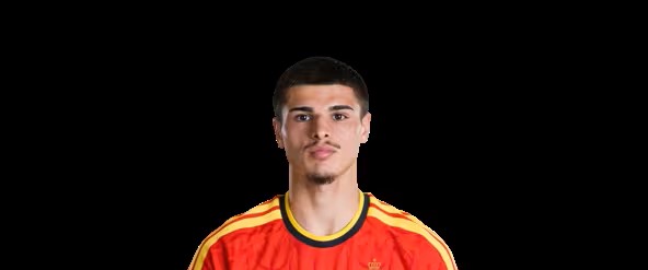 	Matias Fernandez-Pardo 	